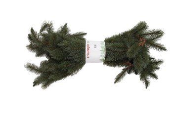 Гірлянда 2,7 м. Forest frosted зелена 8717669552017 фото