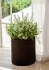 Горщик для квітів Keter 18 л. Cylinder Planter Medium, коричневий 7290103664190 фото 1