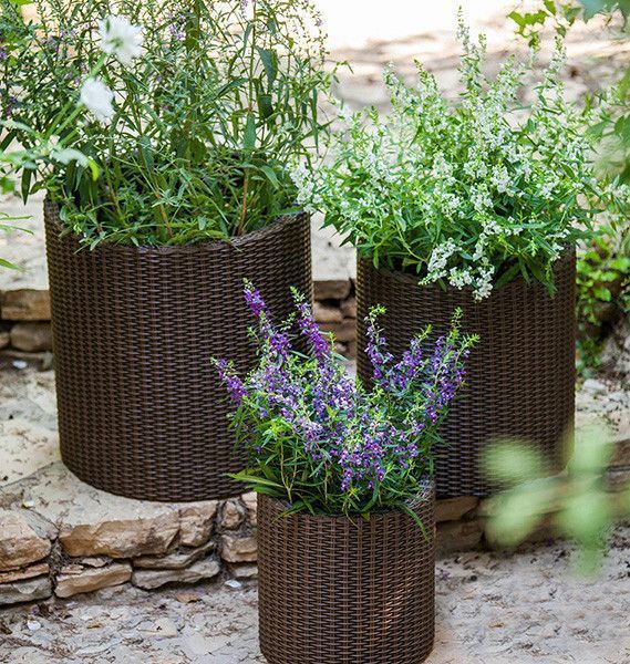 Горщик для квітів Keter 18 л. Cylinder Planter Medium, коричневий 7290103664190 фото